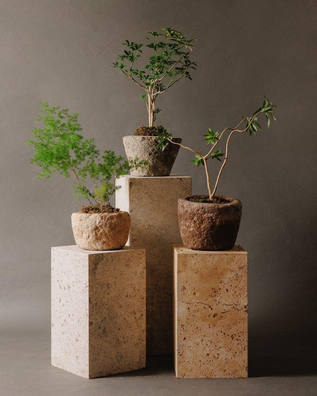 Natural Textured Sandstone Planter Set