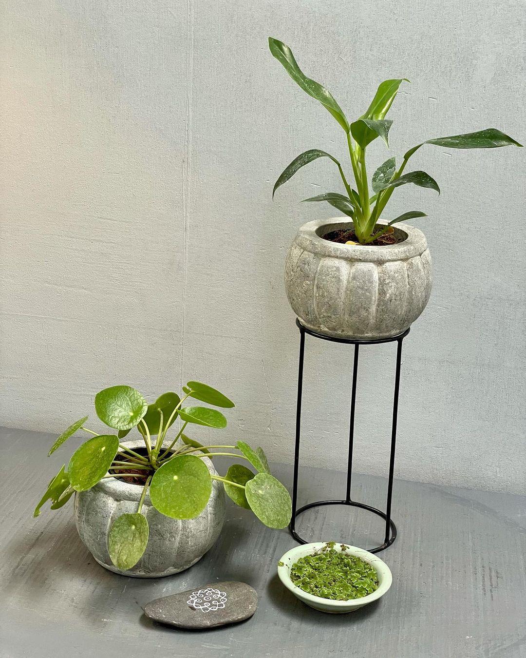 Contemporary Sandstone Planter Set