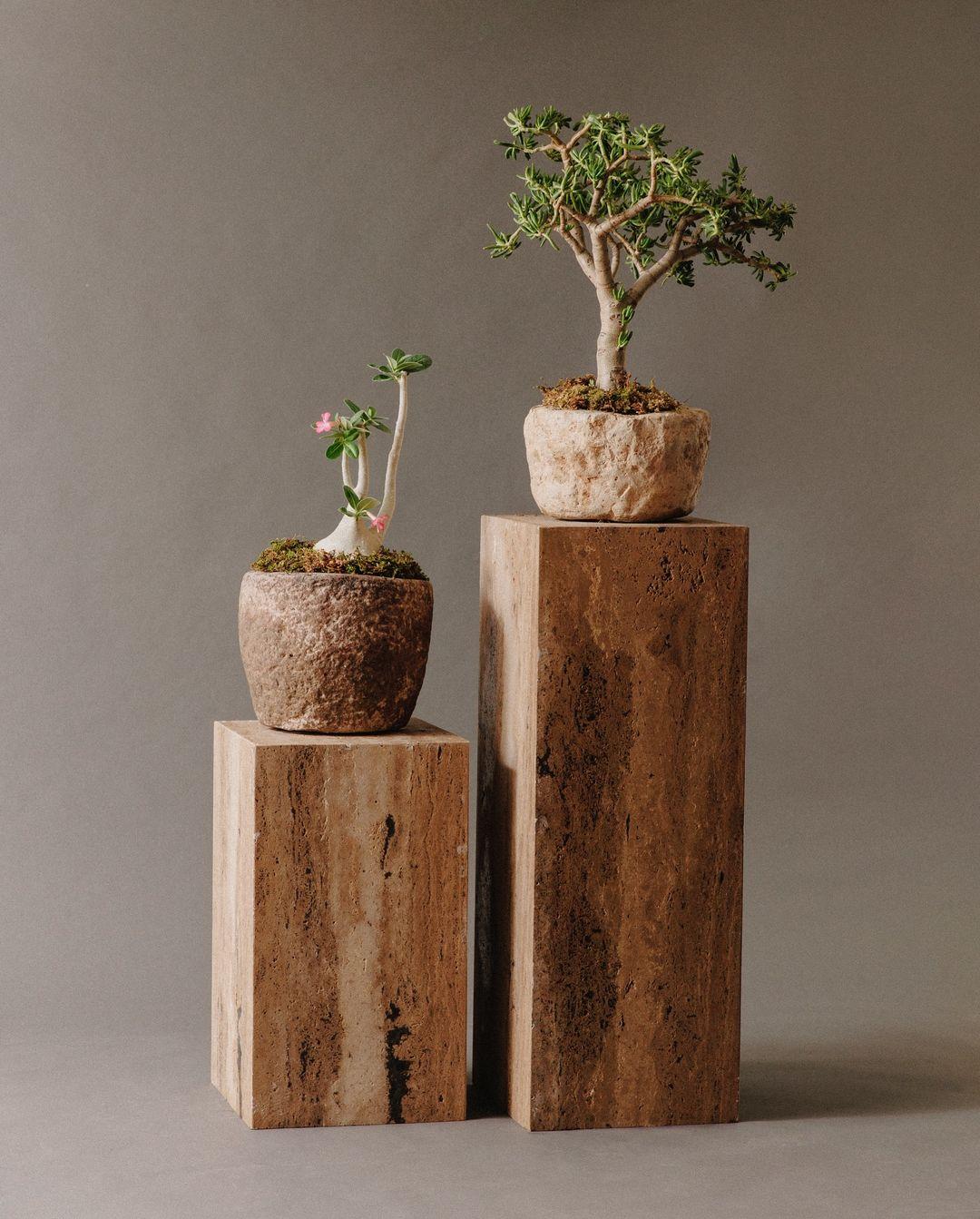 Natural Textured Sandstone Planter Set - Image 3
