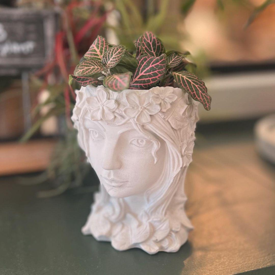 Sandstone Face Planter