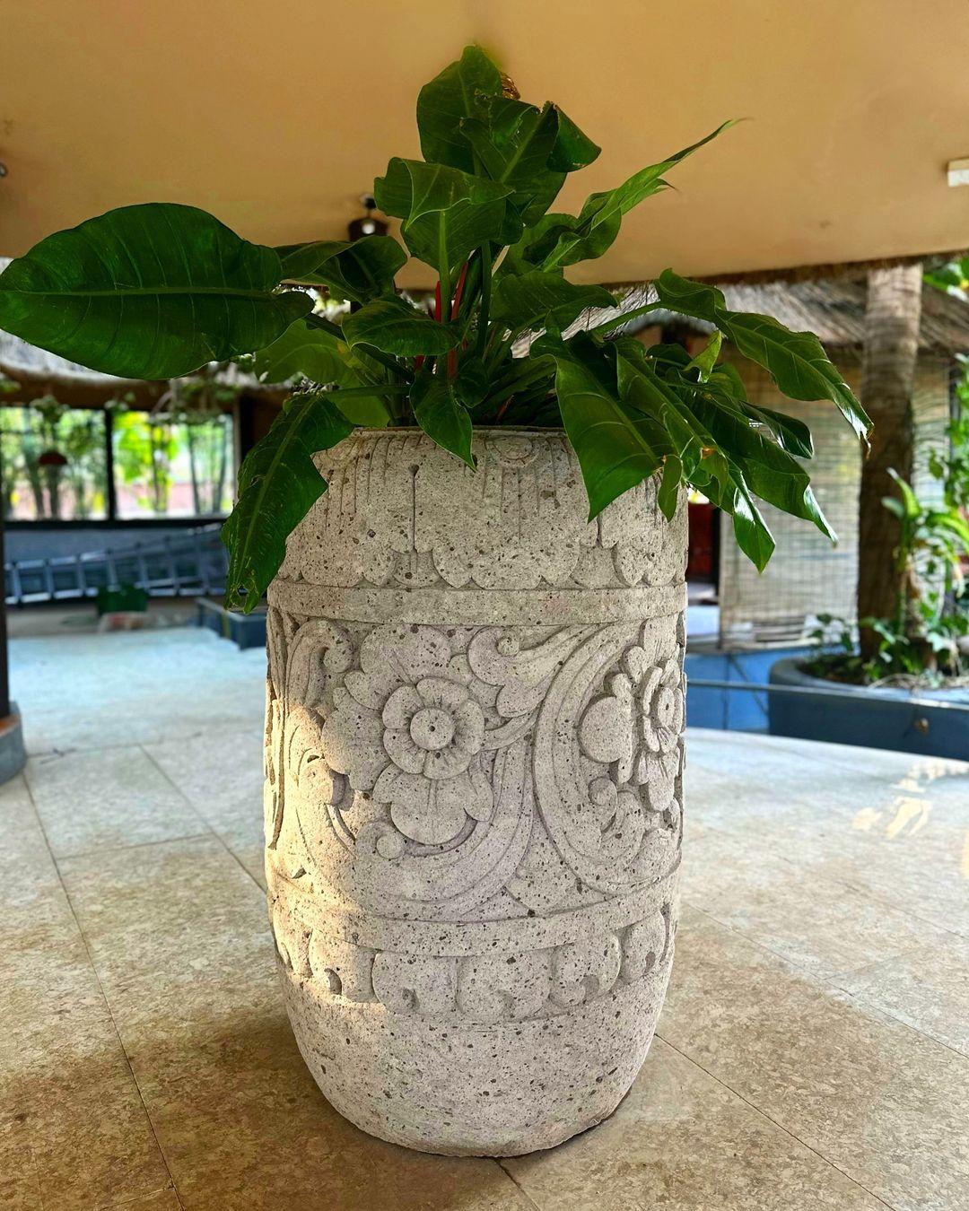 Bali Stone Planter