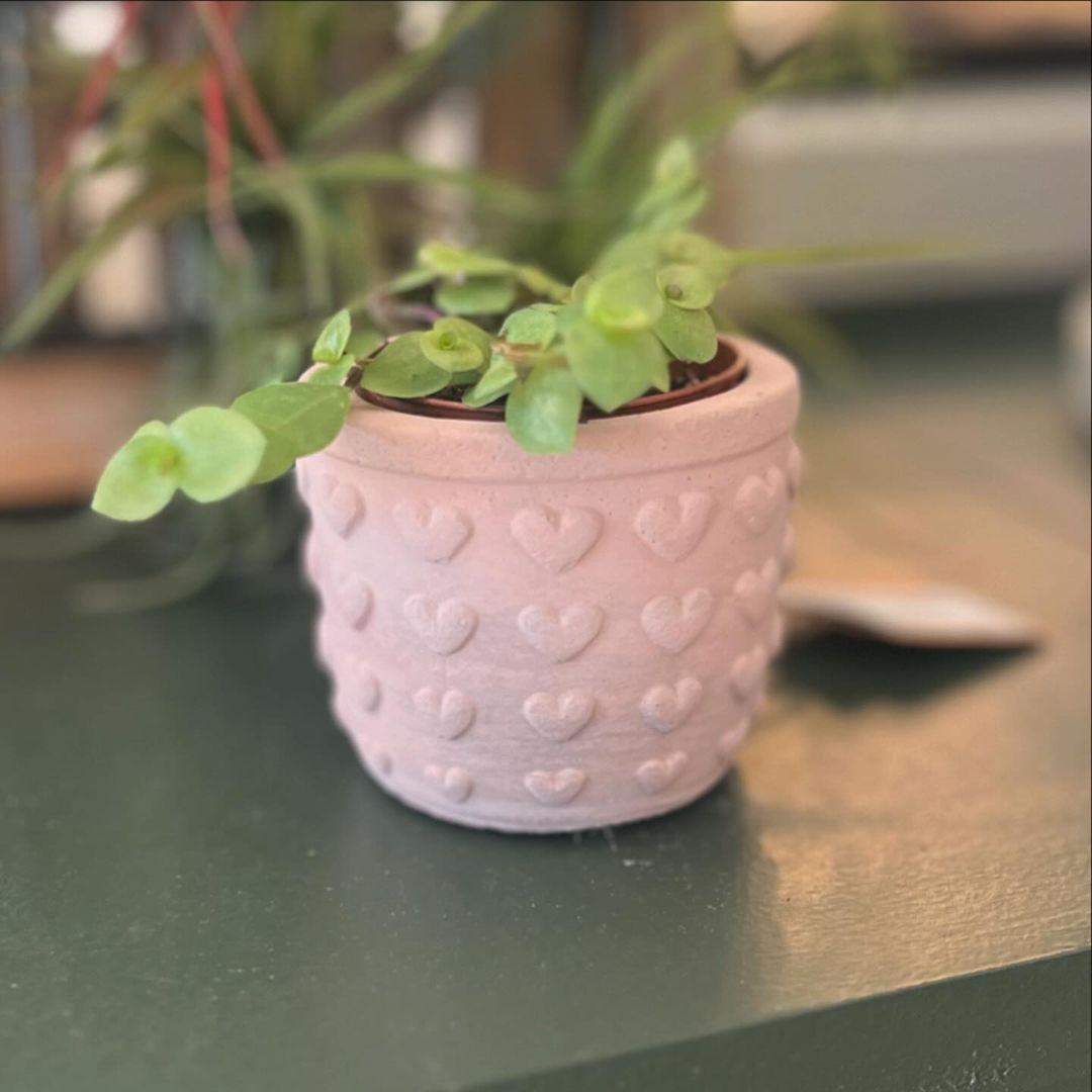Sandstone Heart Planter