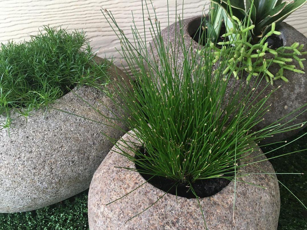Bali Stone Planter Set - Image 3