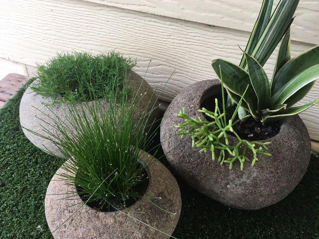 Bali Stone Planter Set