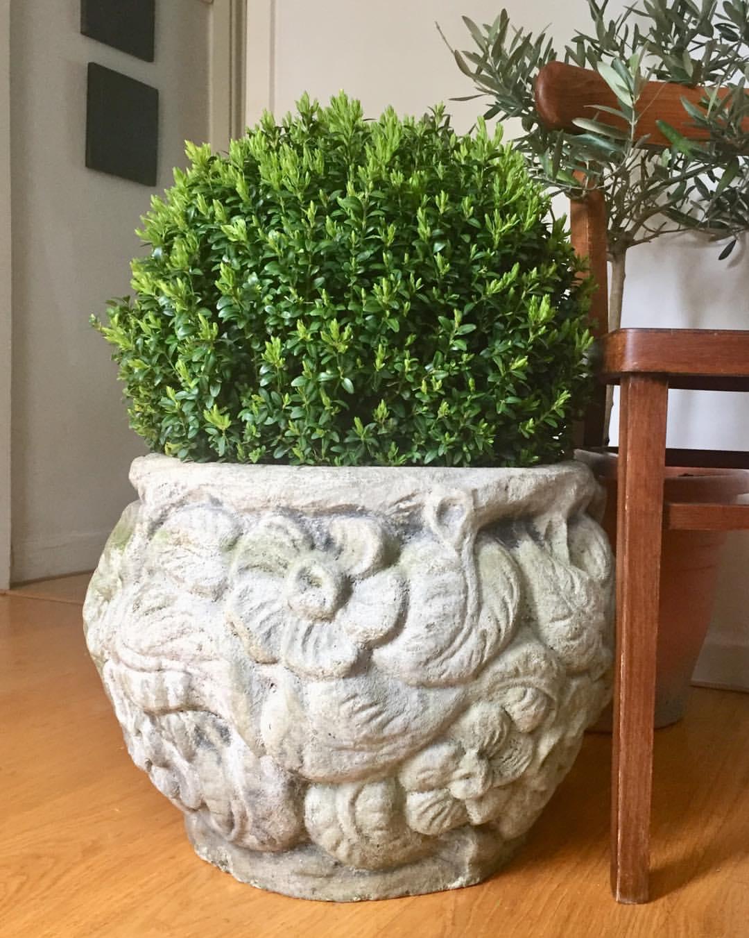 Floral Embossed Bali Planter