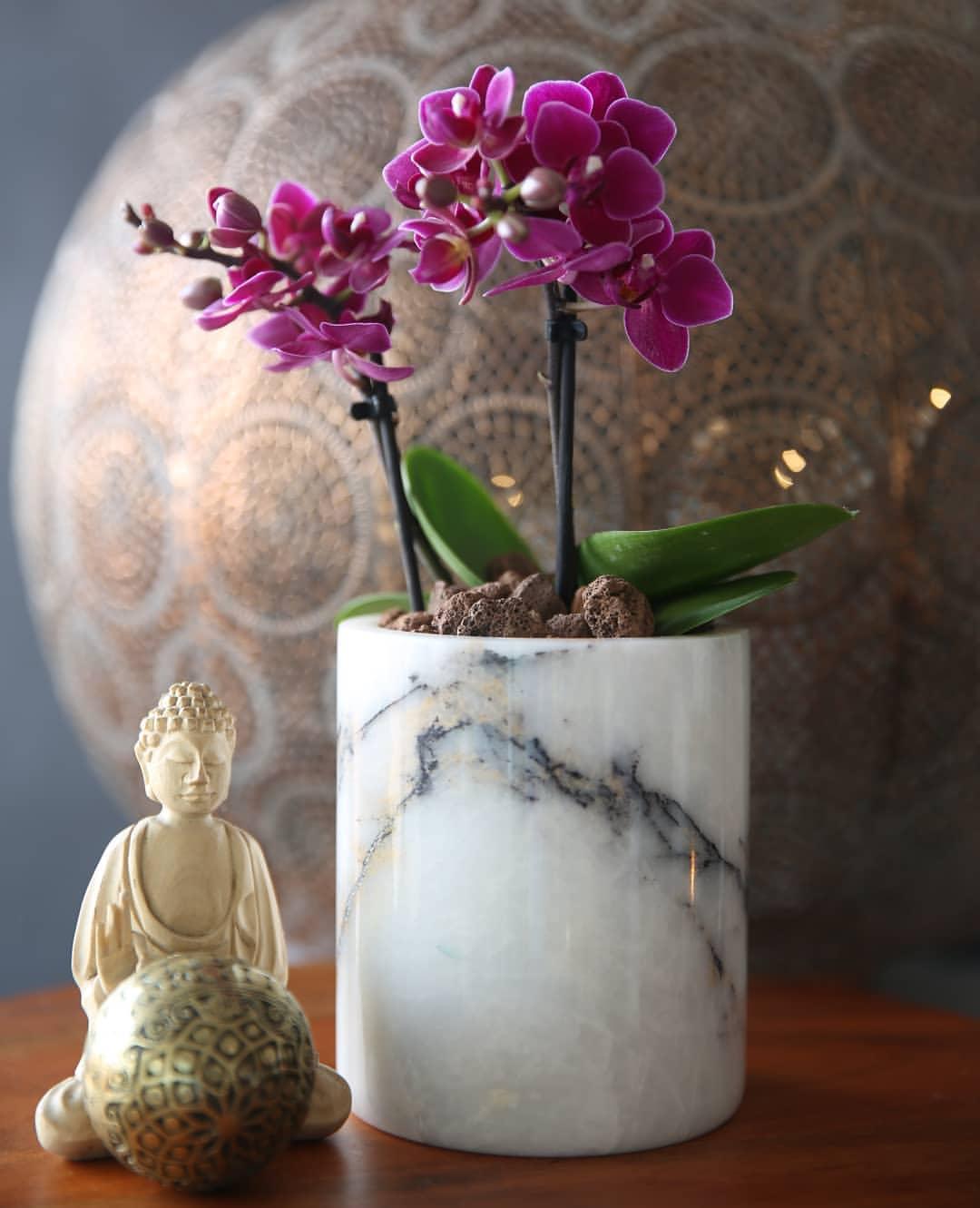 Elegant White Marble Planter